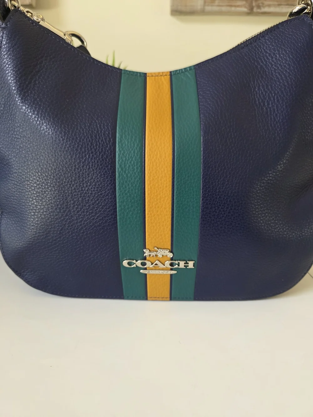 Coach Jes Hobo Cadet Multi Varsity Stripe Pebbled Leather Shoulder Bag